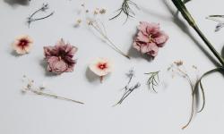 Featured image of post 他们