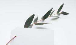 Featured image of post 关于诗